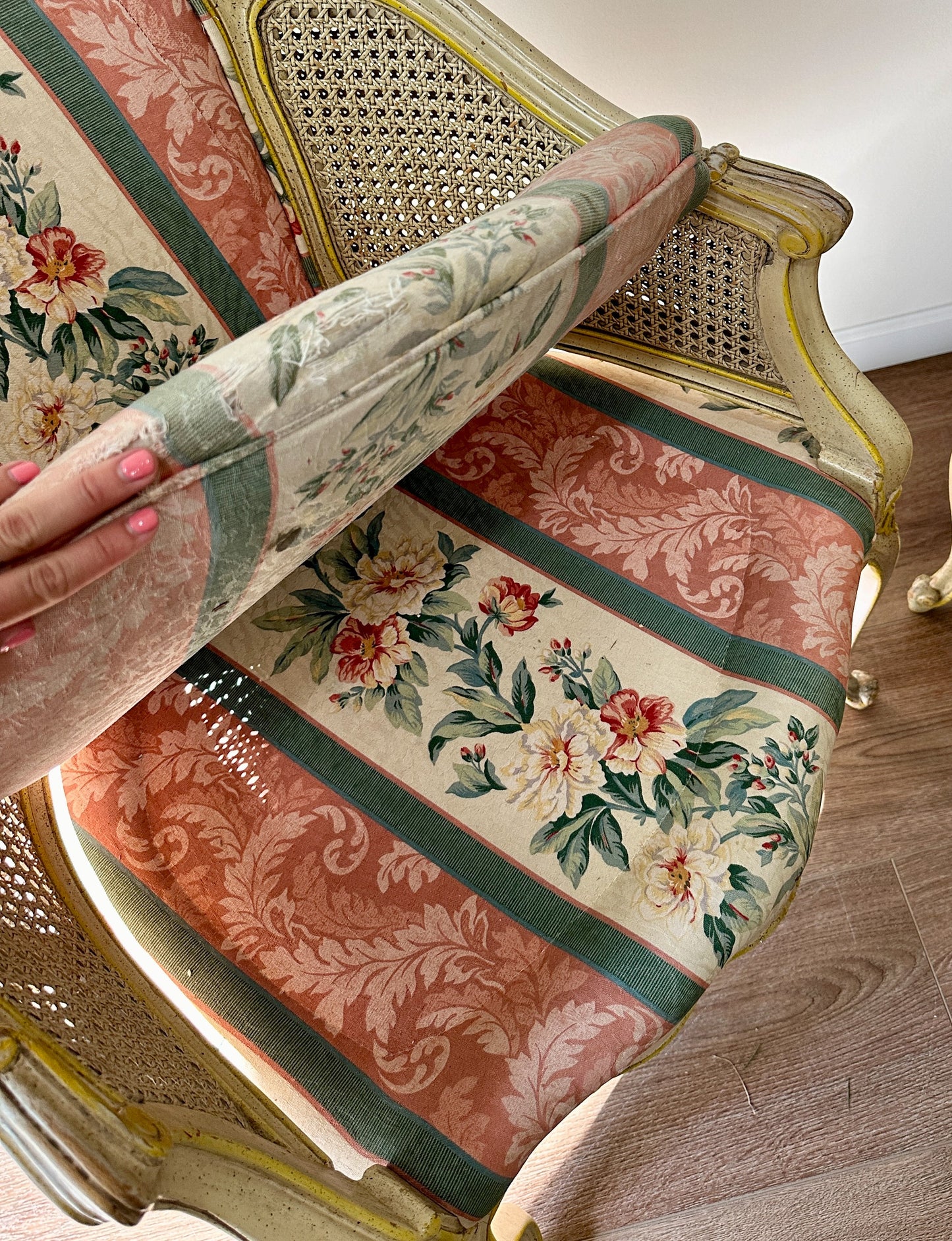 Pair of Antique French Cane and Upholstered Arm Chairs