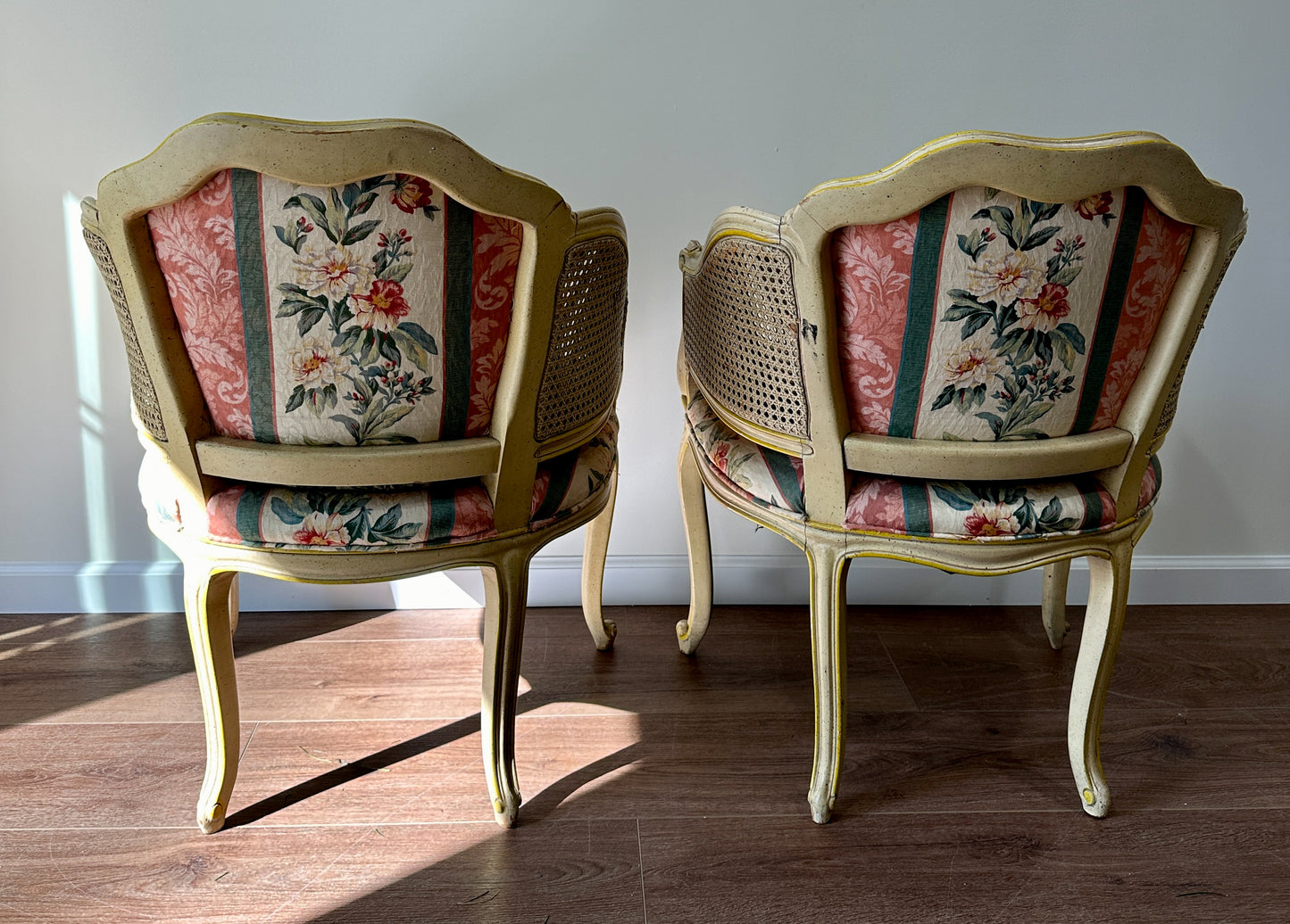 Pair of Antique French Cane and Upholstered Arm Chairs
