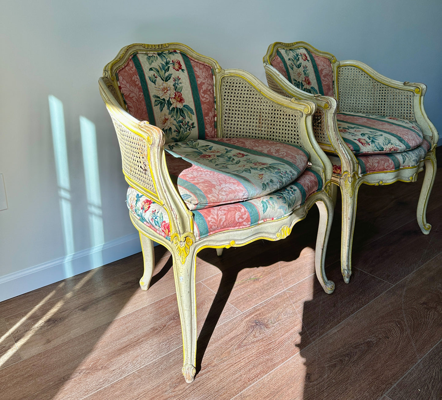Pair of Antique French Cane and Upholstered Arm Chairs